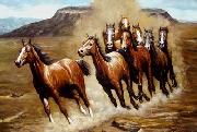 unknow artist Horses 019 china oil painting reproduction